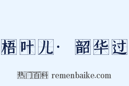 梧叶儿·韶华过是什么意思的图片